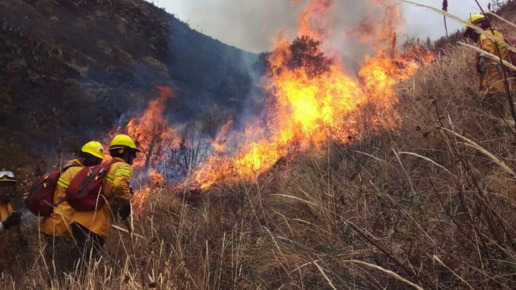 incendios forestales deja muertos y heridos en amazonia