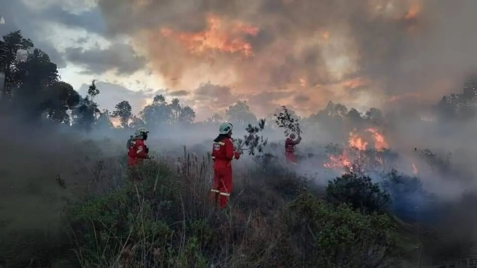 incendios forestales en el peru regiones bajo fuego