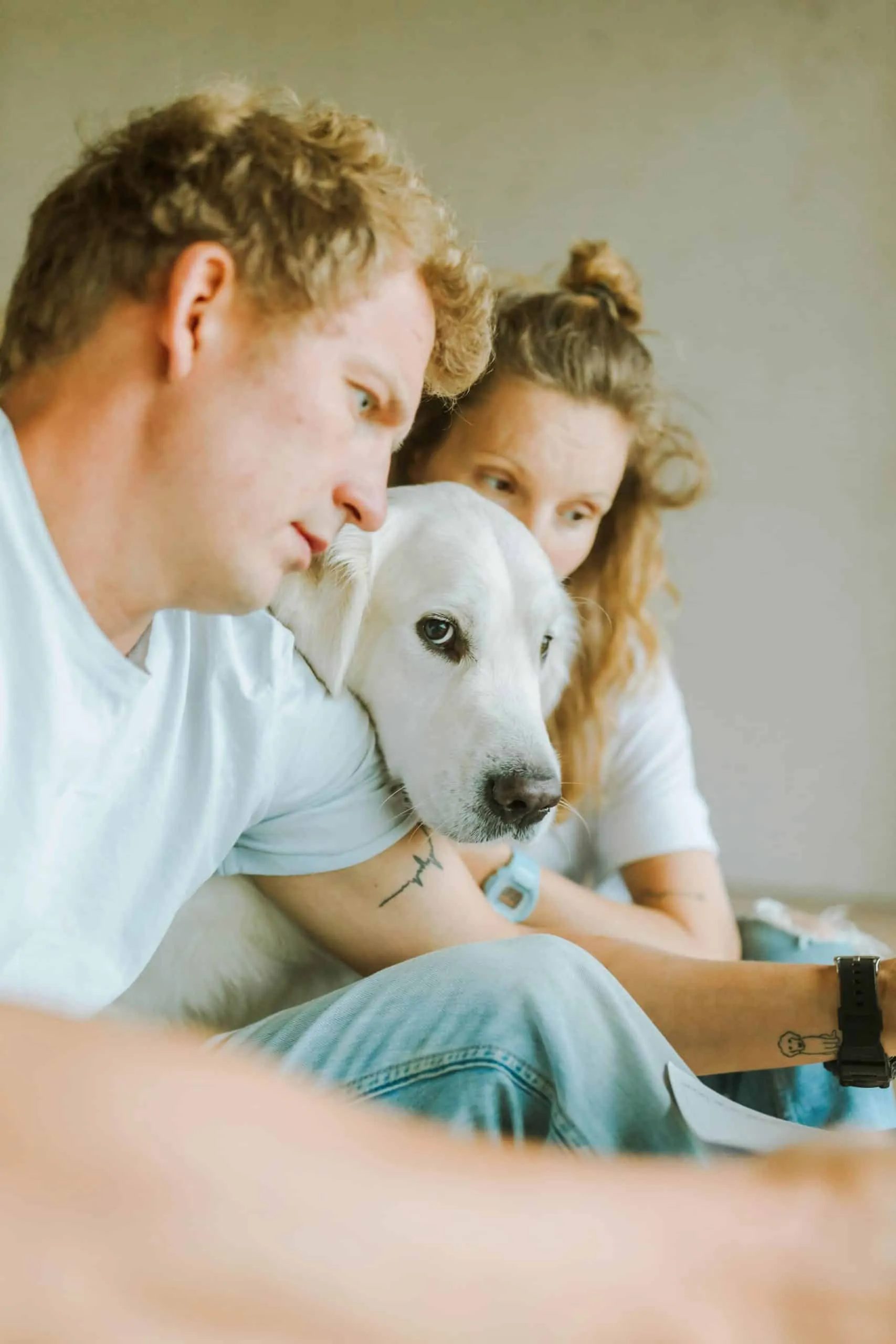 "Descubre el Poder de la Adopción: Cómo una Mascota Puede Renovar Tu Alegría y Salud"