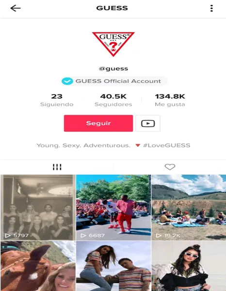 4 Tik Tok cuenta Guess