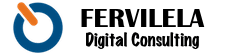FerVilela Digital Consulting