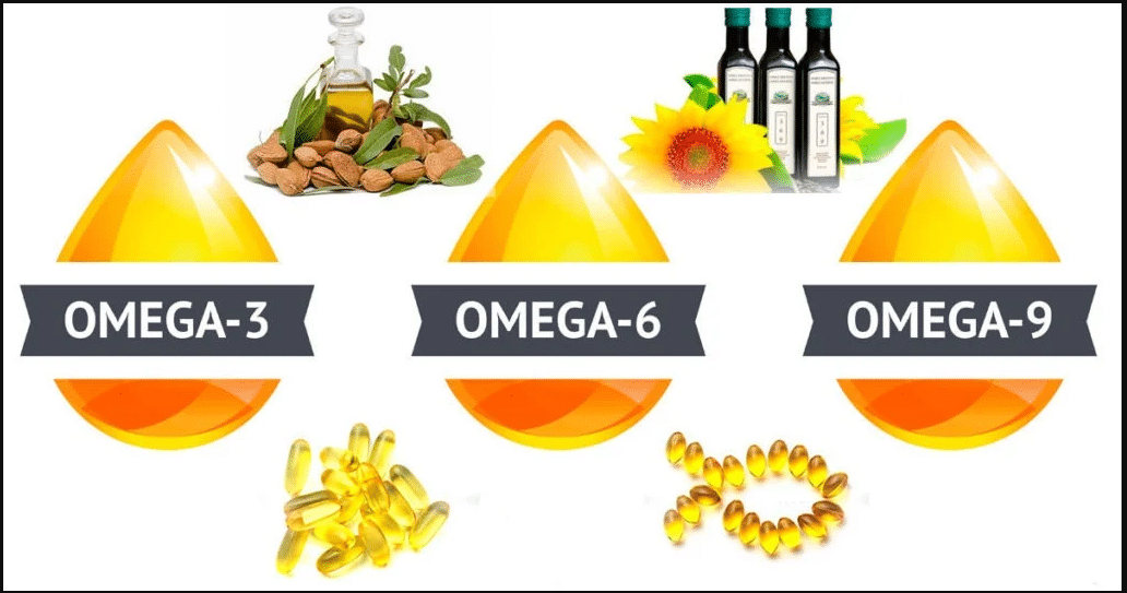 Tipos de ácidos grasos y su importancia en nuestra dieta diaria. FerVilela Digital Consulting
