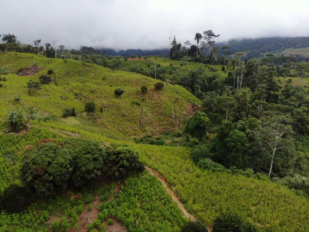 reserva comunal ashaninka y parque nacional otishi