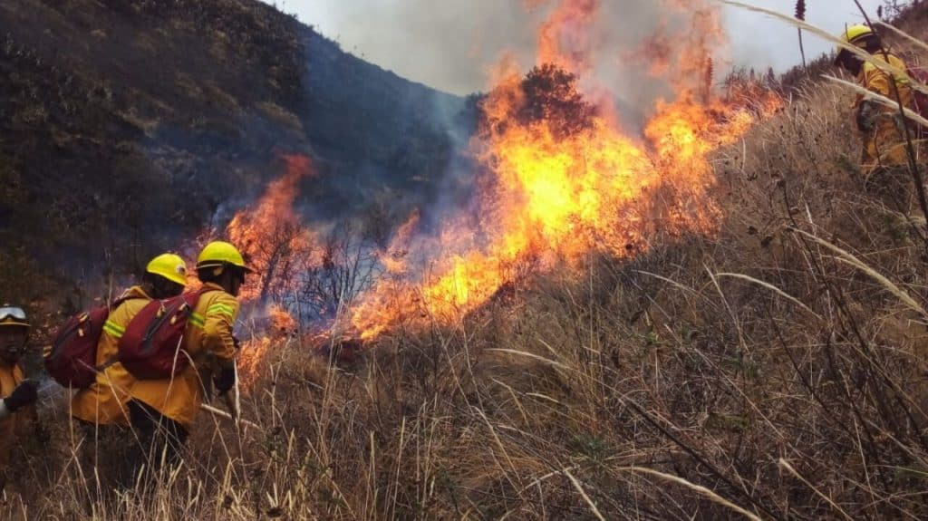 incendios forestales deja muertos y heridos en amazonia