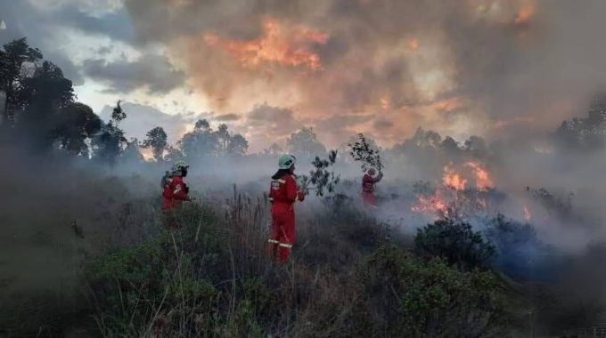 Incendios Forestales En El Peru Regiones Bajo Fuego